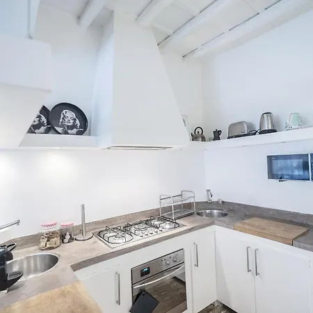 Elegant Retreat In Piazza Sforza Cesarini *